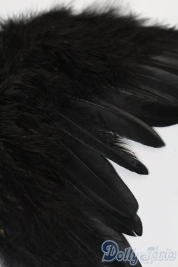 画像3: SDM＆MSD/OF:小物 S-25-11-09-184-YB-ZS