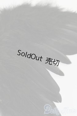 画像3: SDM＆MSD/OF:小物 S-25-11-09-184-YB-ZS