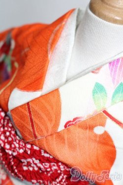 画像4: SD/OF:衣装セット S-25-11-09-155-YB-ZS