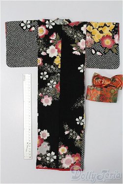 画像6: SD/OF:衣装セット S-25-11-30-137-YB-ZS