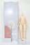 画像3: IMOMODOLL/1/4 Girl Body (肉肉 Ver.2.0) S-25-10-19-293-TO-ZS (3)
