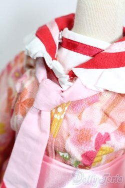 画像4: DD/OF:衣装セット S-25-11-09-161-TO-ZS