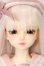 画像1: 【DOLK×MYOU DOLL】櫻Delia 2024 Limited S-25-10-26-152-TO-ZS (1)