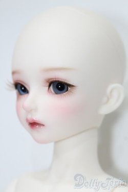 画像3: 【DOLK×MYOU DOLL】Delia - 不思議の国のアリス ver. Limited S-25-10-26-151-TO-ZS