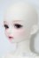 画像3: 【DOLK×MYOU DOLL】Delia - 不思議の国のアリス ver. Limited S-25-10-26-151-TO-ZS (3)