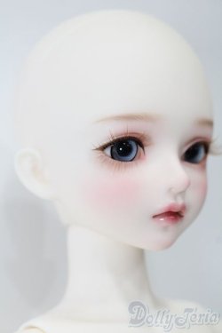 画像4: 【DOLK×MYOU DOLL】Delia - 不思議の国のアリス ver. Limited S-25-10-26-151-TO-ZS
