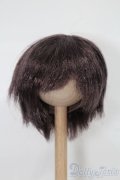 6-7inch/ウィッグ S-25-10-26-190-TO-ZS