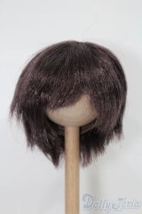 6-7inch/ウィッグ S-25-10-26-190-TO-ZS