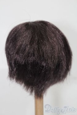 画像2: 6-7inch/ウィッグ S-25-10-26-190-TO-ZS