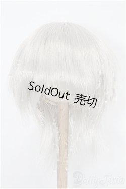 画像1: 8-9inch/ウィッグ S-26-02-01-348-TO-ZS