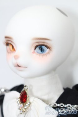 画像3: DEAR MINE/ARTHUR L. 江戸川乱歩 ver. Limited S-25-10-26-154-TO-ZS