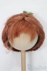 9-10inch/ウィッグ S-25-10-26-262-TO-ZS