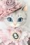 画像1: nova-doll/Cat A-type Lala pink Ver. S-25-11-02-053-TO-ZS (1)