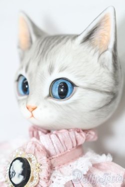 画像2: nova-doll/Cat A-type Lala pink Ver. S-25-11-02-053-TO-ZS