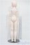 画像5: OBITSU DOLL/Standard-model Vol.1 OBT50-04 TYPE S-25-11-30-053-TO-ZS (5)