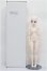 画像6: OBITSU DOLL/Standard-model Vol.1 OBT50-04 TYPE S-25-11-30-053-TO-ZS (6)