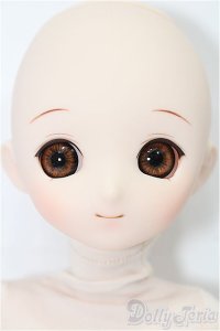 パラボックス/PB-6006+ヘッド+オビツ40ボディ S-25-11-30-054-TO-ZS