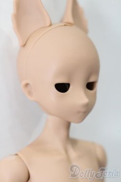 画像3: elfin store/1/6ノアS S-25-11-02-160-TO-ZS