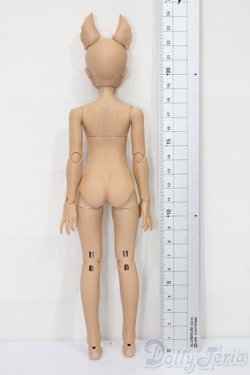 画像5: elfin store/1/6ノアS S-25-11-02-160-TO-ZS