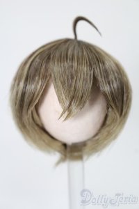 5.5inch/ウィッグ S-25-11-02-288-TO-ZS