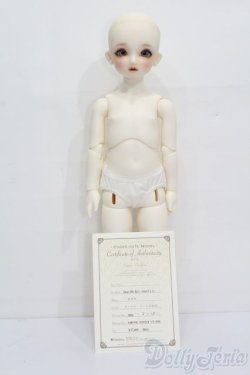 画像7: DearSD/まりか S-25-11-09-066-YB-ZS