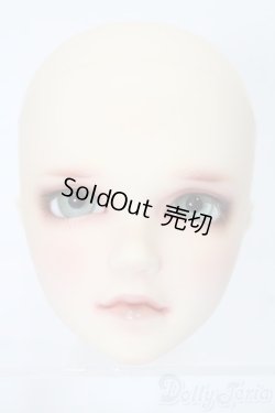 画像1: SDGrB/ワンオフモデル:慧 ヘッドのみ S-25-11-02-280-YB-ZS