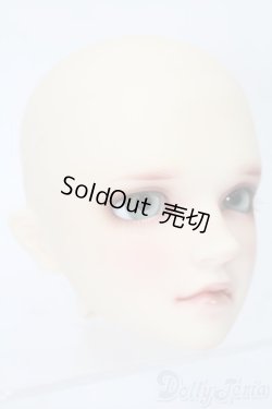 画像3: SDGrB/ワンオフモデル:慧 ヘッドのみ S-25-11-02-280-YB-ZS