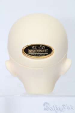 画像4: SDGrB/ワンオフモデル:慧 ヘッドのみ S-25-11-02-280-YB-ZS