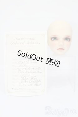 画像5: SDGrB/ワンオフモデル:慧 ヘッドのみ S-25-11-02-280-YB-ZS