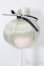 画像1: 4inch/ウィッグ S-25-11-09-261-TO-ZS (1)
