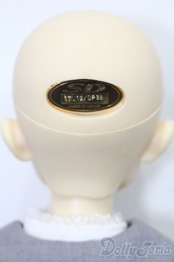 画像6: SDB/ミシェル 星間学寮Ver. S-25-11-09-051-TO-ZS