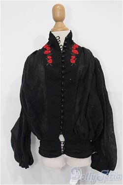 画像1: SD/OF:トップス S-25-11-30-138-TO-ZS