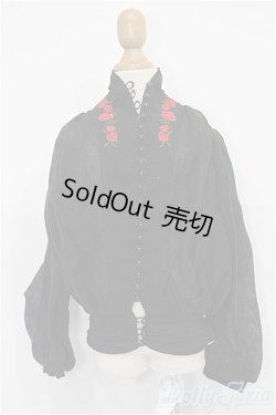 画像1: SD/OF:トップス S-25-11-30-138-TO-ZS