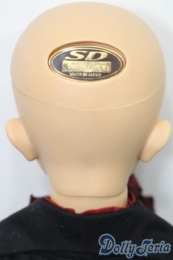 画像5: SD13男の子/ワンオフモデル F-64(LuLuco様メイク) S-25-11-09-052-TO-ZS