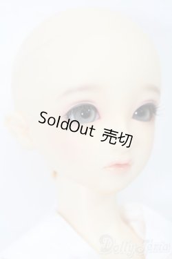 画像4: SD女の子/スタンダードモデル:ちよ S-25-11-09-202-TO-ZS