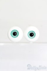 16mm/グラスアイ S-25-11-09-135-TO-ZS