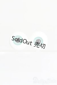 16mm/グラスアイ S-25-11-09-135-TO-ZS