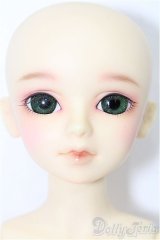 MSD男の子/フルチョイス：F-09 S-25-11-23-153-TO-ZS