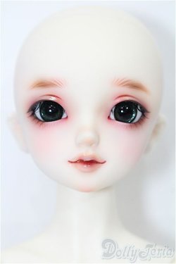 画像1: SDM男の子/フルチョイス F-45 S-25-11-23-053-TO-ZS