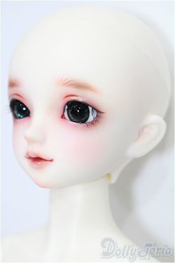 画像2: SDM男の子/フルチョイス F-45 S-25-11-23-053-TO-ZS