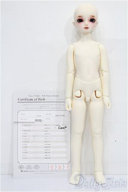 画像5: SDM男の子/フルチョイス F-45 S-25-11-23-053-TO-ZS