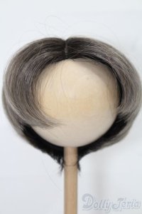 8-9inch/ウィッグ S-25-11-16-098-TO-ZS