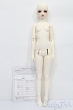 画像5: SD女の子/フルチョイス F-63 S-25-11-16-052-TO-ZS