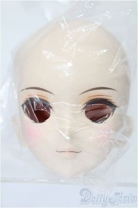 DDH-07メイク済みヘッド：ファンブックvol.2 S-25-11-16-252-TO-ZS