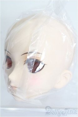 画像3: DDH-07メイク済みヘッド：ファンブックvol.2 S-25-12-28-301-TO-ZS