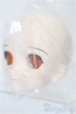 画像2: DD/DDH-06 メイク済みヘッド 2011ver. S-25-11-16-254-TO-ZS