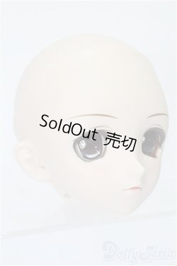 画像3: DDH-03/オプションヘッド　メイク済み　2010ver. S-25-11-16-255-TO-ZS