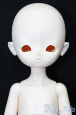 画像1: 分界線 S-25-11-09-207-TO-ZS