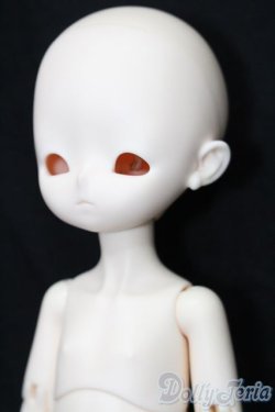 画像2: 分界線 S-25-11-09-207-TO-ZS