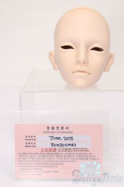 画像5: SWITCH/EUNJO Head S-25-11-16-077-TO-ZS